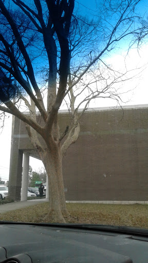 Post Office «United States Postal Service», reviews and photos, 1706 S Burnside Ave, Gonzales, LA 70737, USA