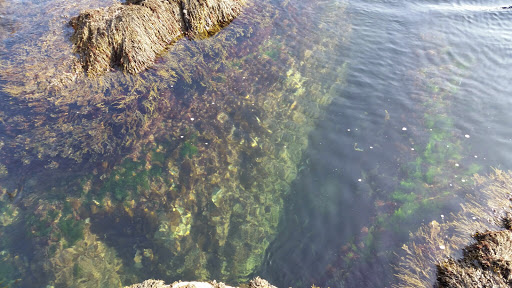 Park «Rafes Chasm Park», reviews and photos, 138 Hesperus Ave, Gloucester, MA 01930, USA