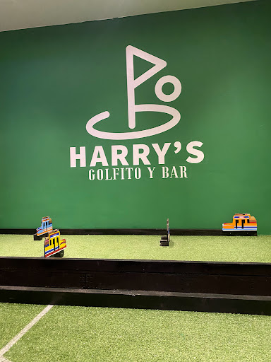 Harry’s Golfito y bar