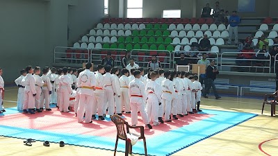Photos of Sports hall coated - Municipality Ghubairi