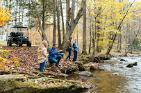 Cart Nation - Photo 5 - Car repair in Lexington, KY, Lexington