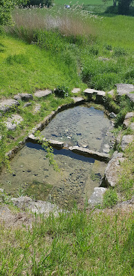 Source de la Bernon à Montalet-le-Bois