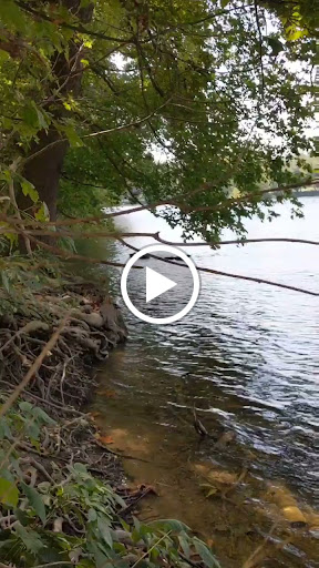 Golf Club «Blue Ridge Shadows Golf Club», reviews and photos, 456 Shadows Dr, Front Royal, VA 22630, USA