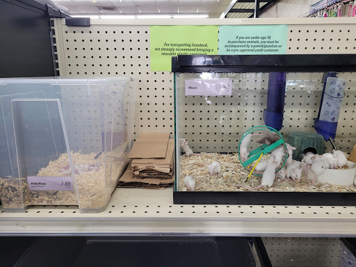 Pet Supply Store «Paw Shoppe Pet Center», reviews and photos, 6416 E Spring St, Long Beach, CA 90815, USA