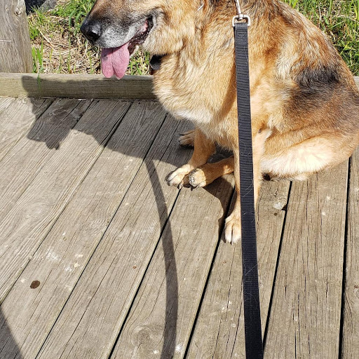 Park «Jim Hansen Park», reviews and photos, 338 Valley Forge Ave, South Elgin, IL 60177, USA