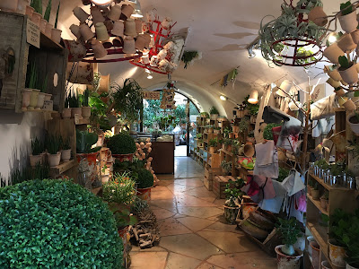 Cr Uzès, plantes et décorations à Uzès