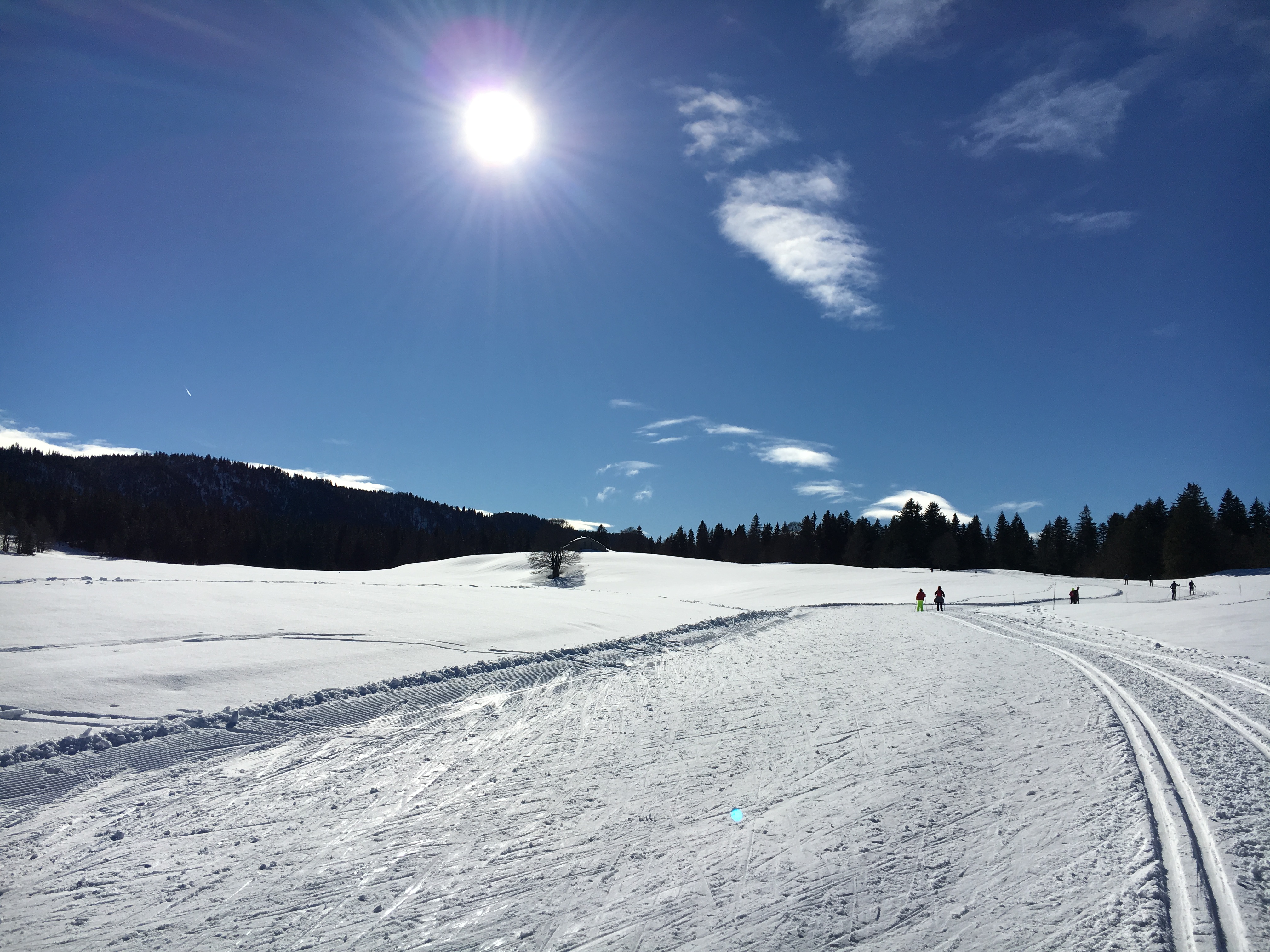 Photo n° 4 de l'avis de Mickael.a fait le 28/01/2018 à 15:12