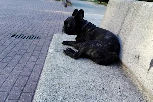 Plaza Jurista Cirilo image