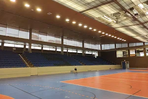 Großsporthalle Rüsselsheim image