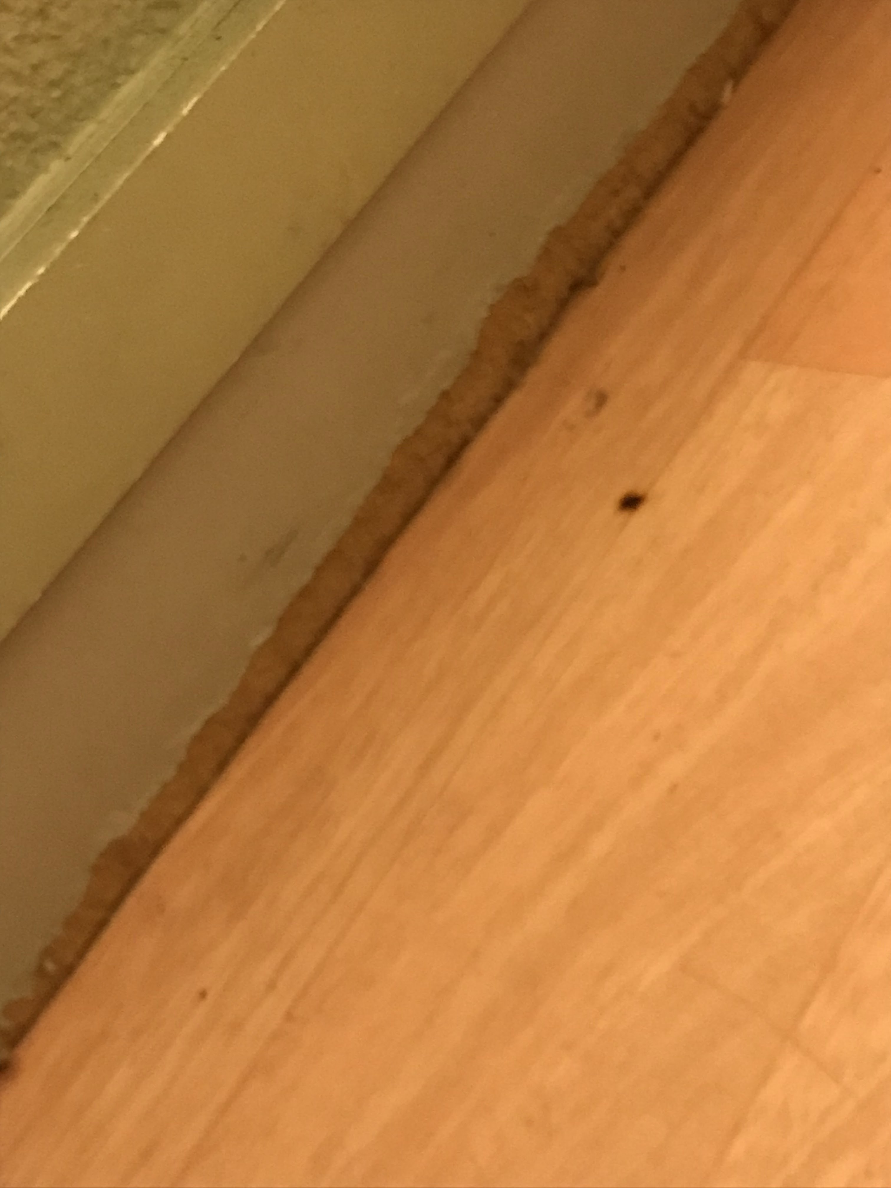 Photo n° 7 de l'avis de A. fait le 26/12/2021 à 21:59