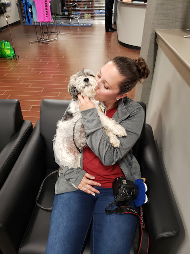 Subaru Dealer «Lancaster County Motors Subaru», reviews and photos, 5260 Main St, East Petersburg, PA 17520, USA