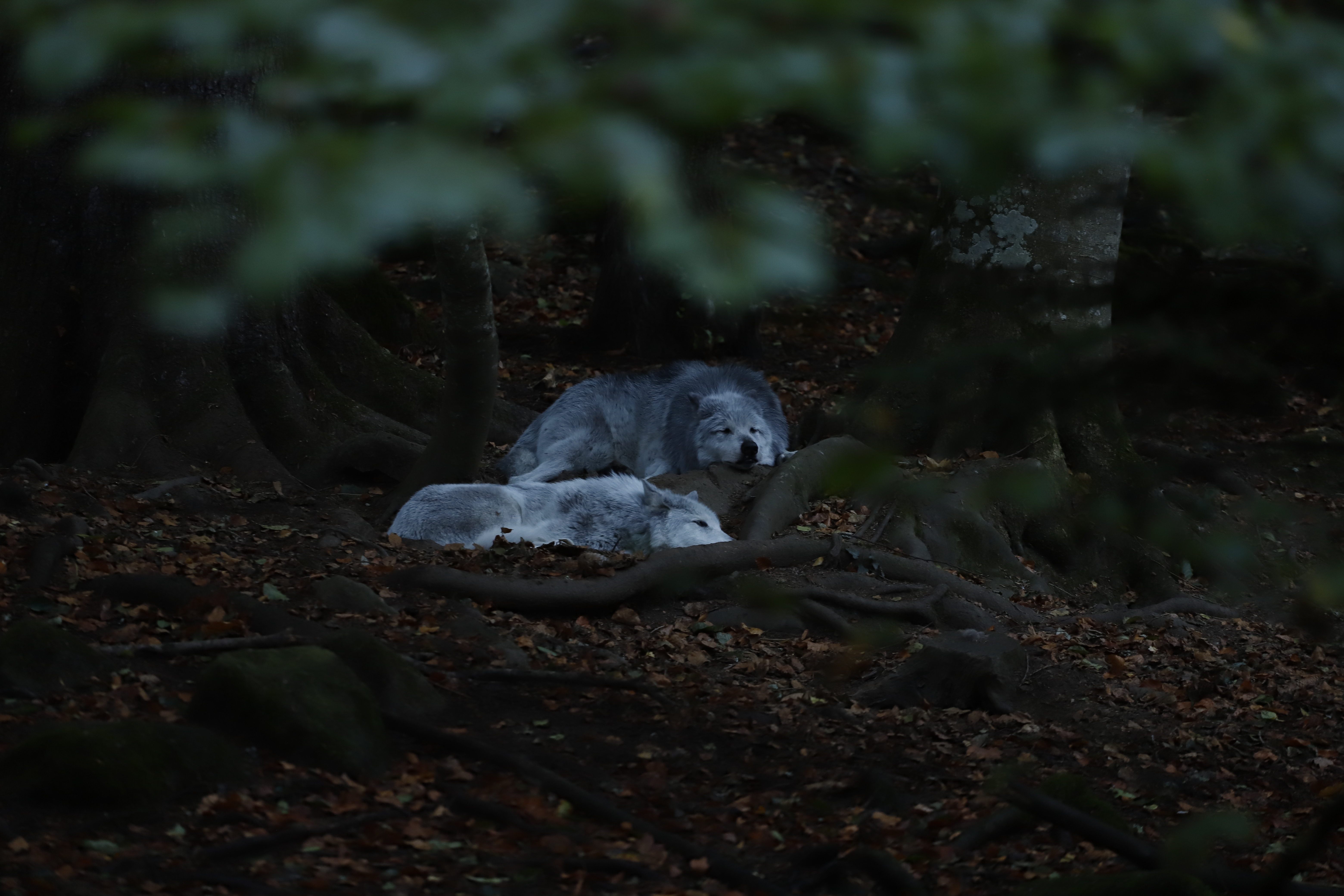 Photo n° 3 de l'avis de Gauvain.o fait le 02/11/2023 à 07:37