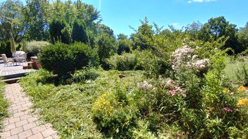 Nature Preserve «Fox Bluff Conservation Area», reviews and photos, Cold Springs Rd, Algonquin, IL 60102, USA