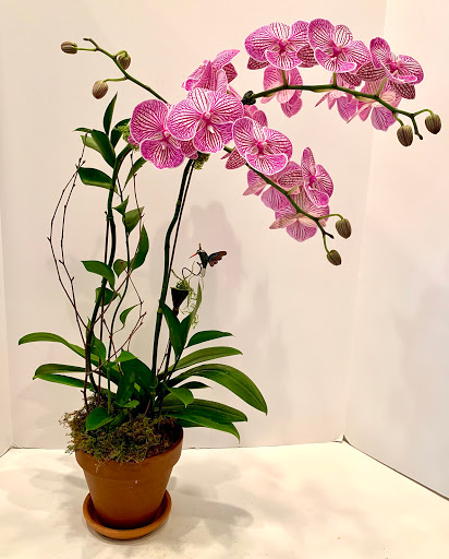 Florist «Trillium», reviews and photos, 41 Rittenhouse Pl, Ardmore, PA 19003, USA