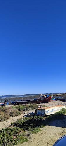 Porto Palafítico da Carrasqueira Número de telefone