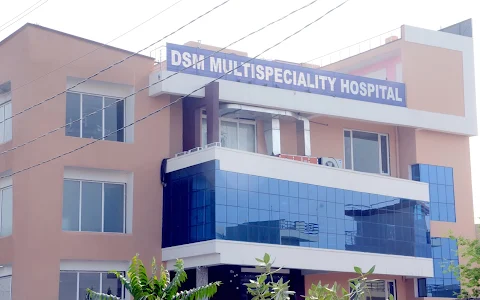 DSM Multi-Speciality Hospital image