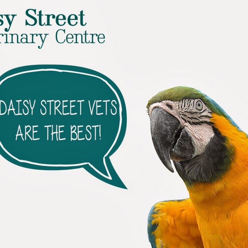 Daisy Street Veterinary Centre