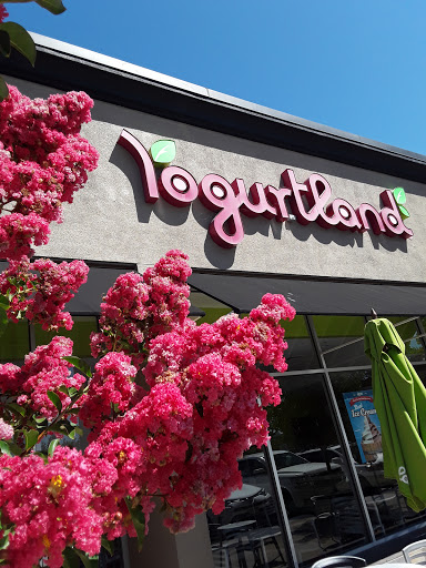 Frozen Yogurt Shop «Yogurtland», reviews and photos, 152 Sunset Dr, San Ramon, CA 94583, USA