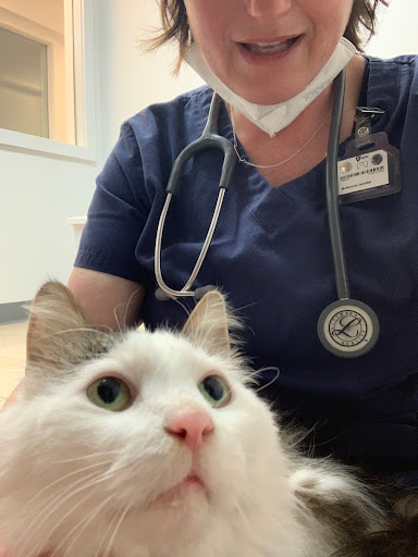 Brilliant Veterinary Care