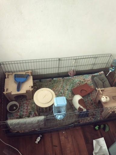 Animal Shelter «Oregon Humane Society», reviews and photos