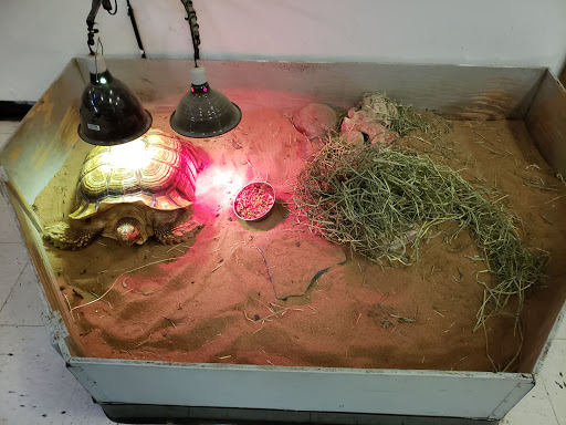 Pet Store «Pet World Warehouse Outlet», reviews and photos, 2148 W Beltline Hwy, Madison, WI 53713, USA