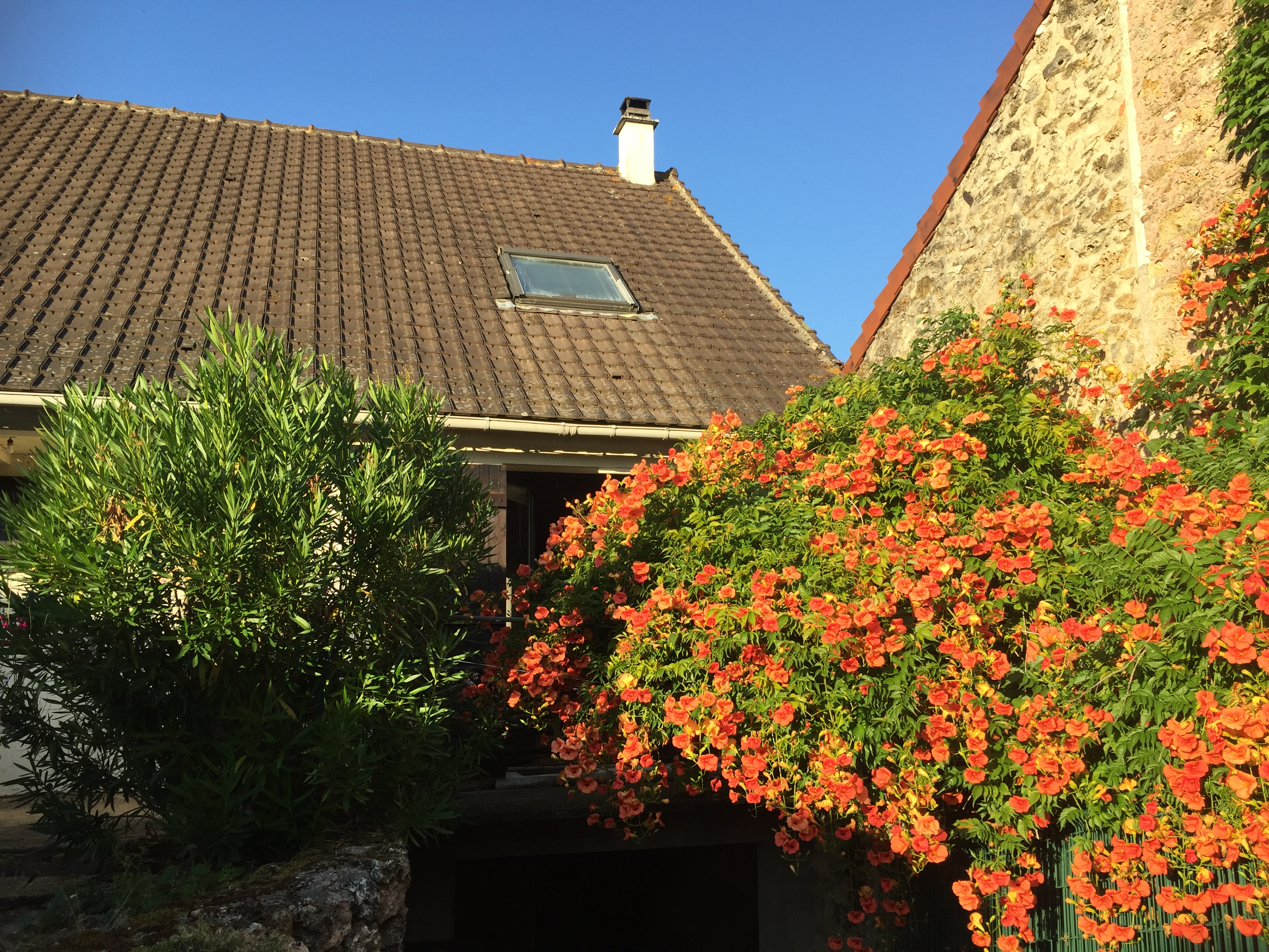 Photo n° 2 de l'avis de Huguette.E fait le 23/10/2021 à 21:08