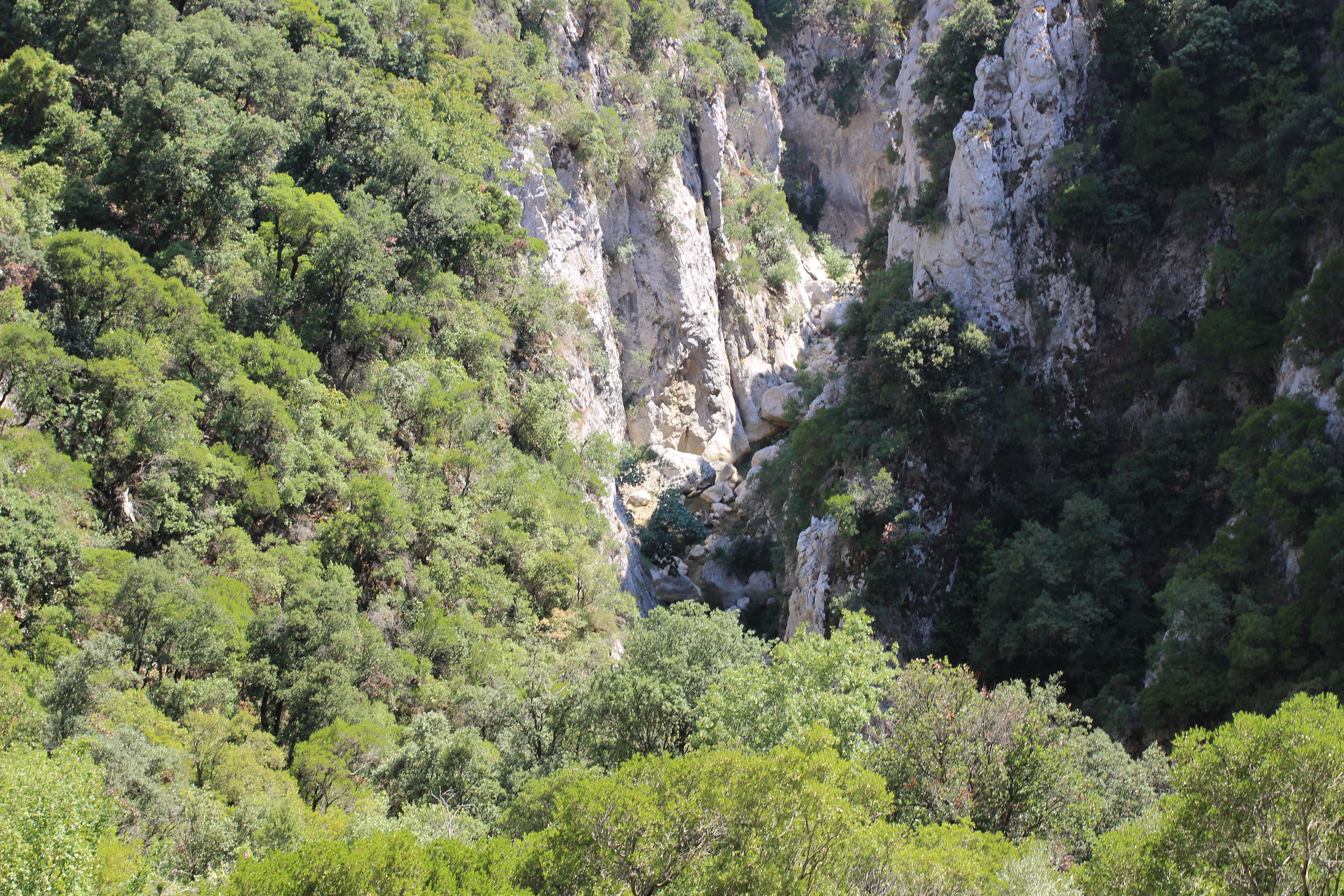 Photo n° 12 de l'avis de Clovis.a fait le 23/07/2022 à 10:46