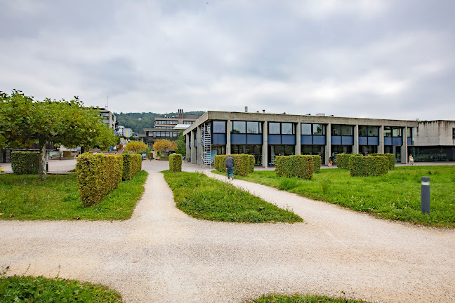 Oesch Gartenbau AG - Zürich
