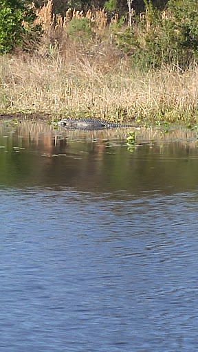 Park «Boca Ciega Millennium Park», reviews and photos, 12410 74th Ave N, Seminole, FL 33772, USA