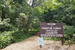 Phantom Forest Conservation Area image