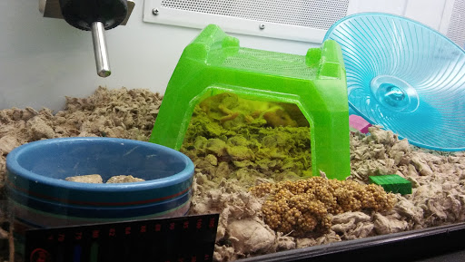 Pet Supply Store «Petco Animal Supplies», reviews and photos, 2000 NE Burnside Rd, Gresham, OR 97030, USA