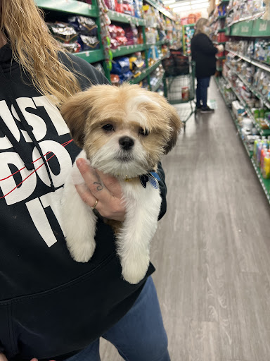 Pet Supply Store «Pet Supplies Plus», reviews and photos, 3100 Manchester Rd, Akron, OH 44319, USA