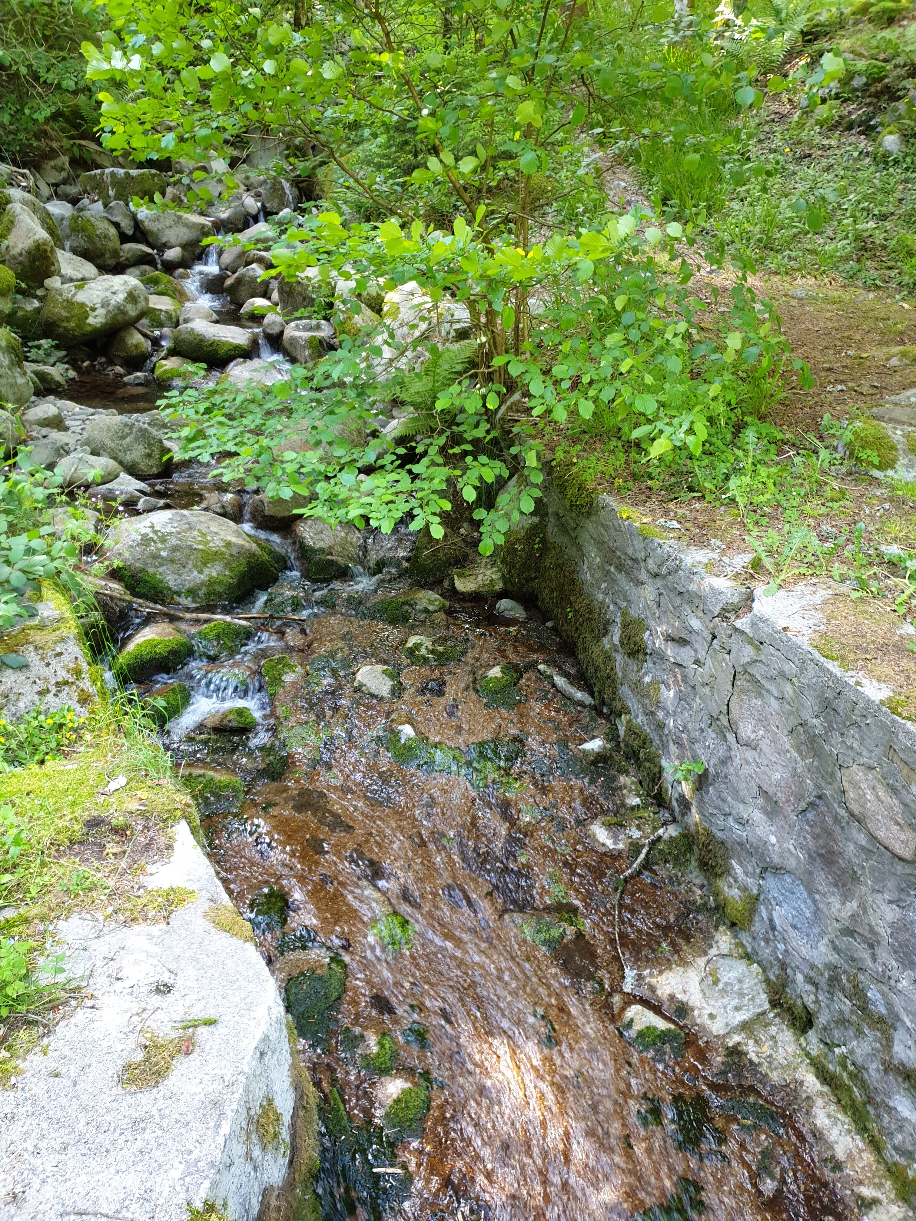 Photo n° 1 de l'avis de Matthias.r fait le 20/06/2019 à 23:17