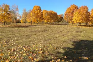 Park of the 60th Anniversary of October Revolution image