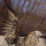 Photo n°3 de l'avis de Sascha.a fait le 17/12/2023 à 00:30 sur le  Trattoria Genzianella à Pollein