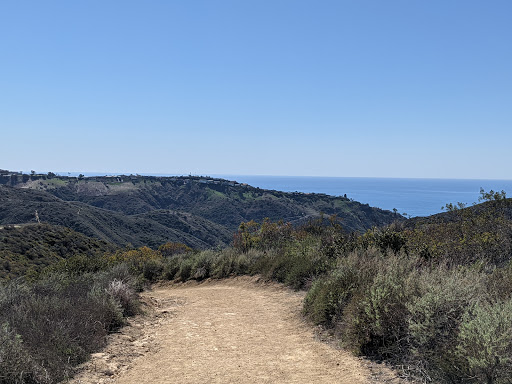 Laguna Canyon Wilderness Park Laurel Canyon Waterfall (seasonal)