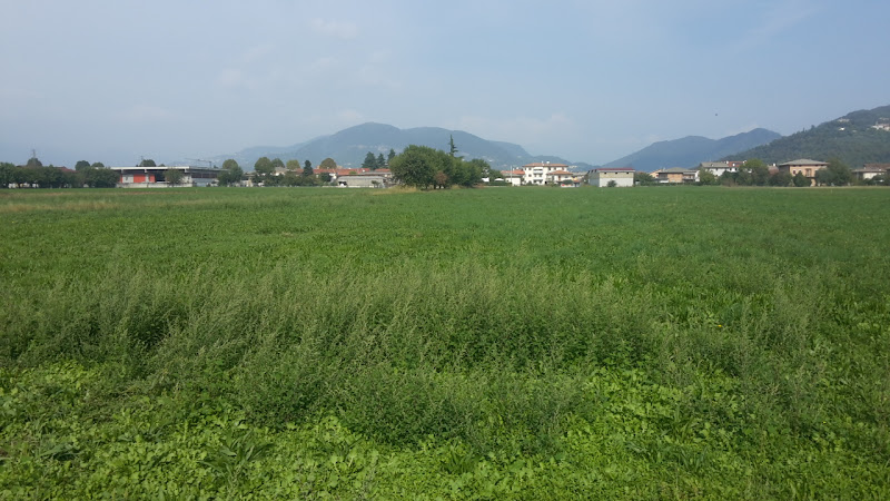 Zanatto Davide - Via G. Pascoli - Castelgomberto