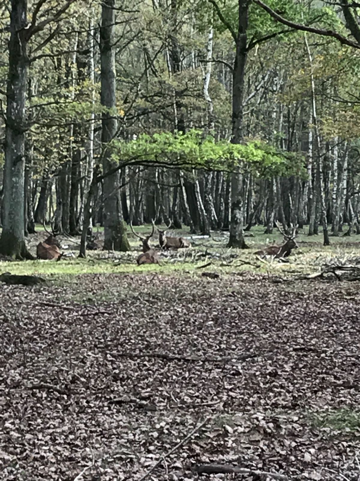 Photo n° 2 de l'avis de Xavier. fait le 31/12/2017 à 10:14