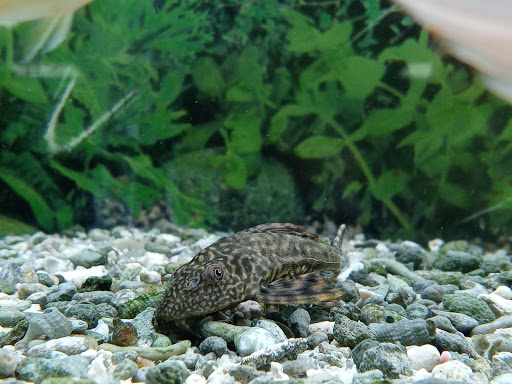 Pet Store «Valley Pets», reviews and photos, 6380 US-85, Fountain, CO 80817, USA