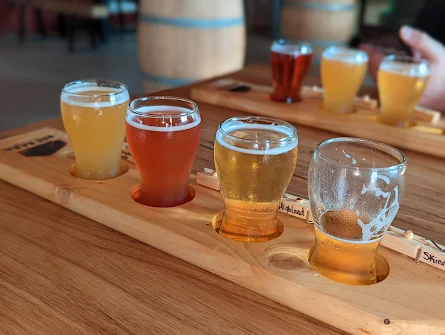 Craft beer at a brewery in Blenheim Ontario