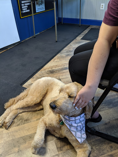 Tire Shop «A C Tire Inc», reviews and photos, 425 S Washington Hwy, Ashland, VA 23005, USA