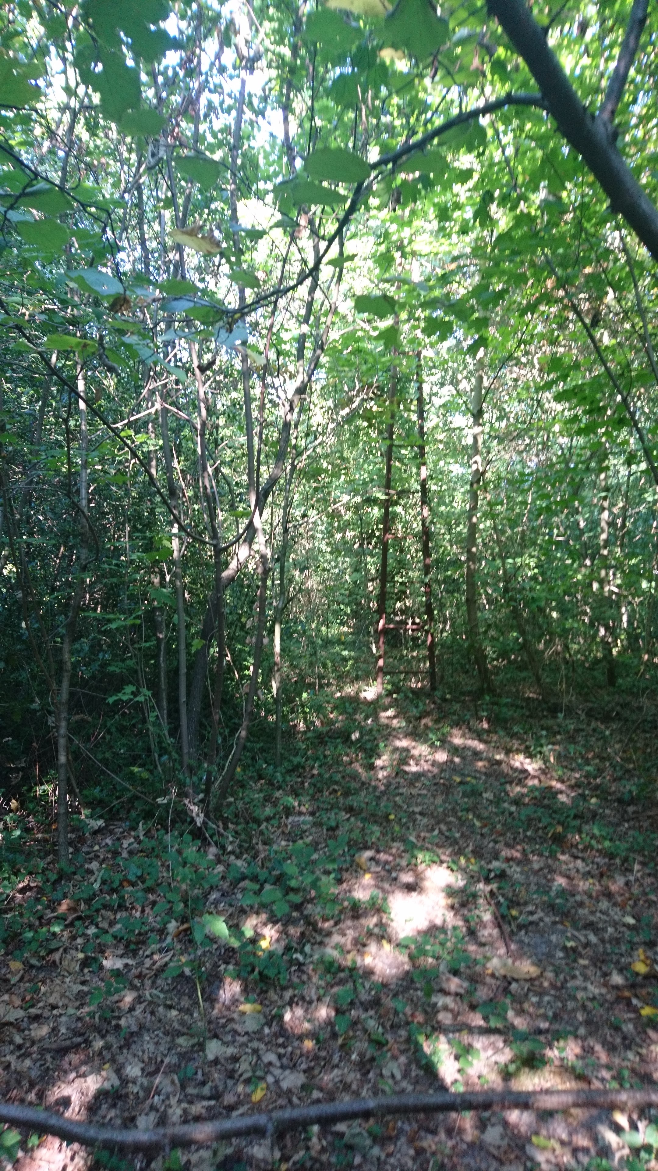 Photo n° 2 de l'avis de Yami.o fait le 05/09/2018 à 12:03