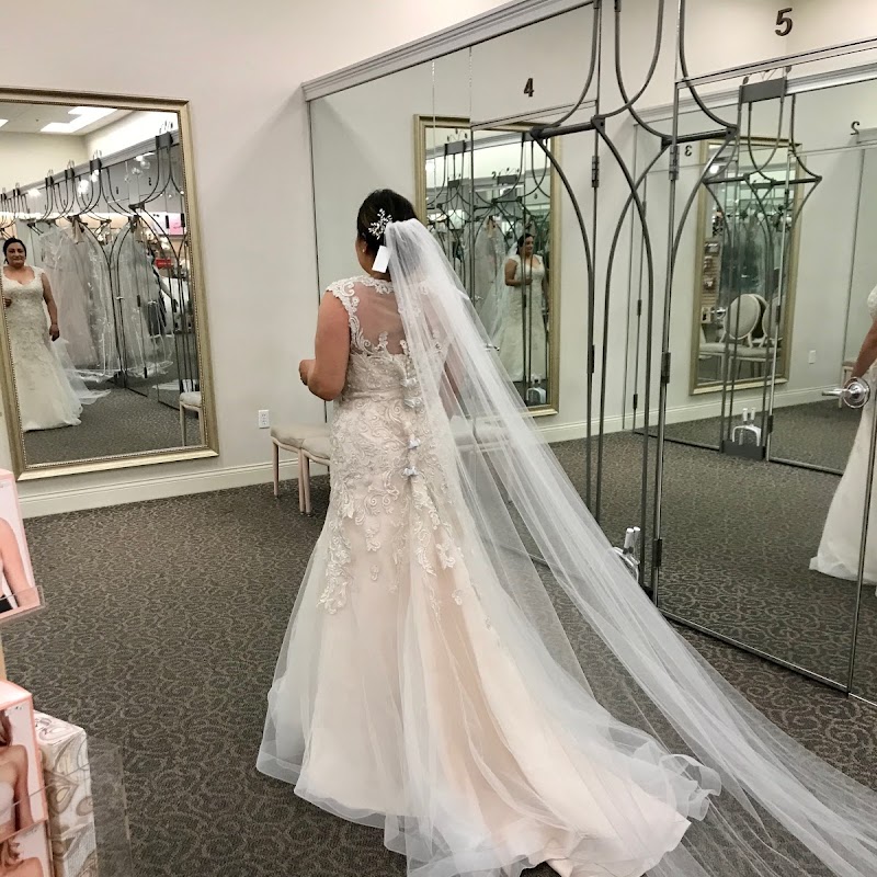 David's Bridal