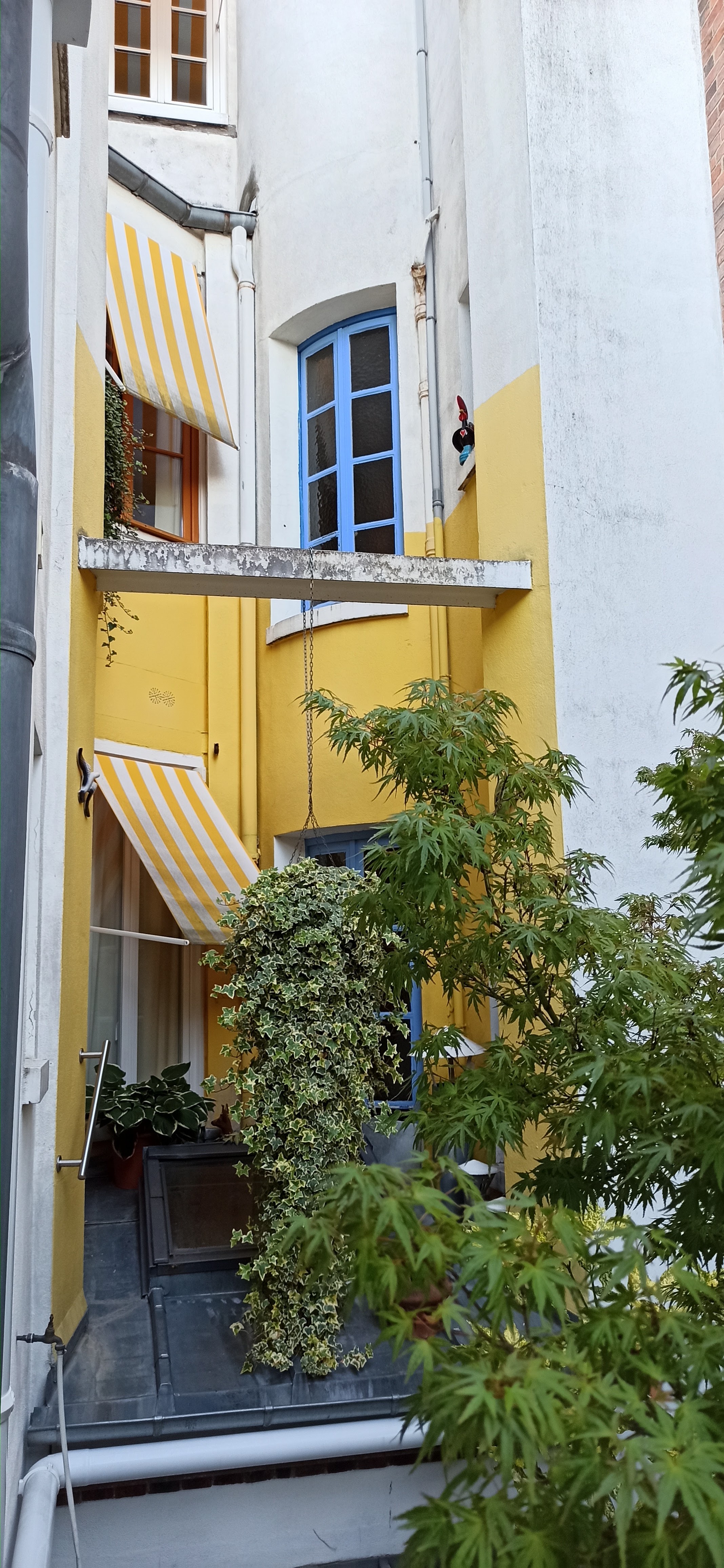 Photo n° 5 de l'avis de Ezequiel.e fait le 27/05/2020 à 04:43