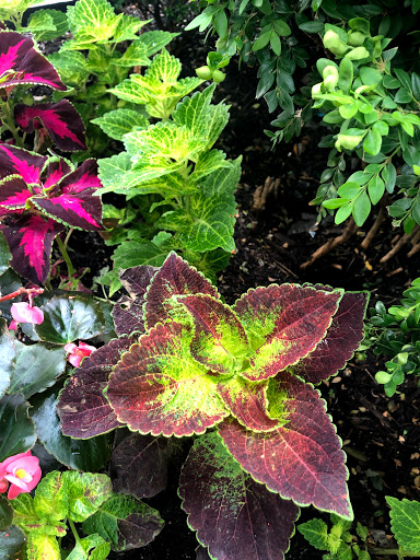 Episcopal Church «St. James Episcopal Cathedral», reviews and photos, 65 E Huron St, Chicago, IL 60611, USA