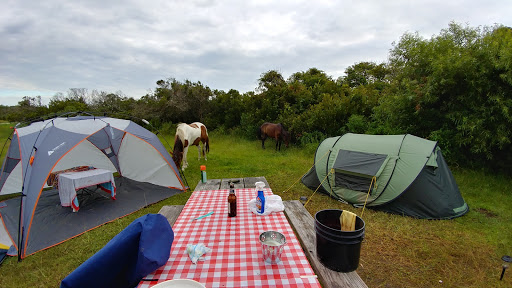National Park «Assateague Island National Seashore», reviews and photos, 7206 National Seashore Ln, Berlin, MD 21811, USA