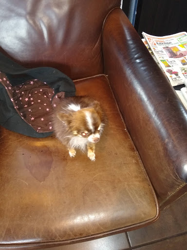 Shopping Mall «Pismo Coast Shopping Plaza», reviews and photos, 555 5 Cities Dr, Pismo Beach, CA 93449, USA