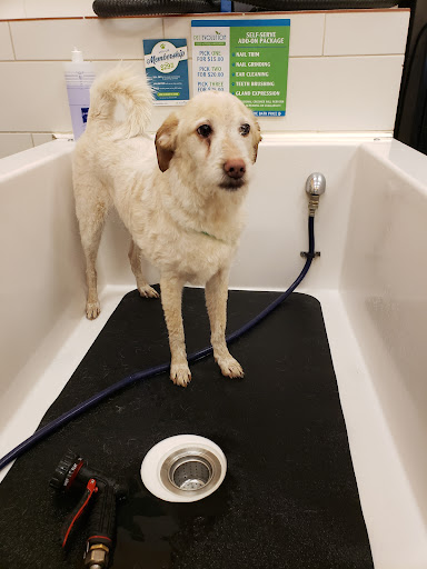 Pet Supply Store «Pet Evolution - Pet Food | Dog Wash | Grooming», reviews and photos, 429 Commerce Dr, Woodbury, MN 55125, USA