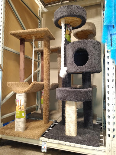 Pet Supply Store «PetSmart», reviews and photos, 1020 Veterans Pkwy #900, Clarksville, IN 47129, USA