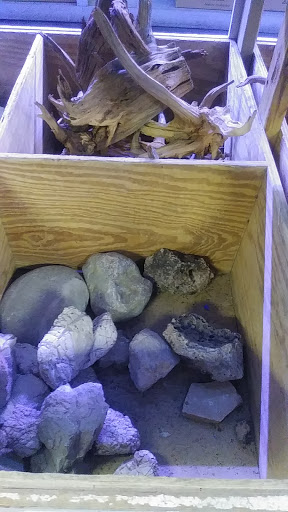 Tropical Fish Store «Fishland», reviews and photos, 13155 Westheimer Rd #114, Houston, TX 77077, USA